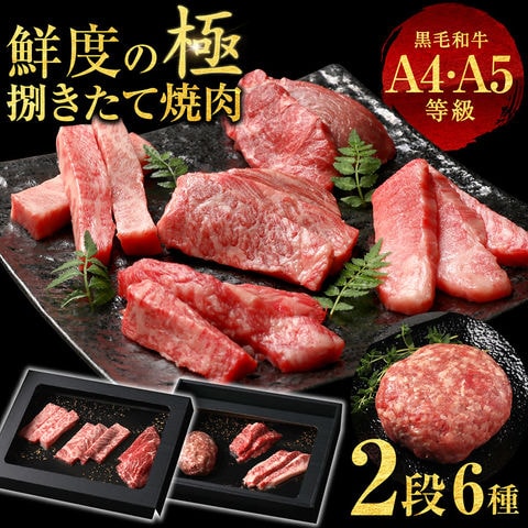 極上の肉ギフト 黒毛和牛<br>焼肉5種&ハンバーグセット