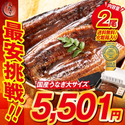 うなぎ 蒲焼き 大サイズ165g前後×2尾 国産