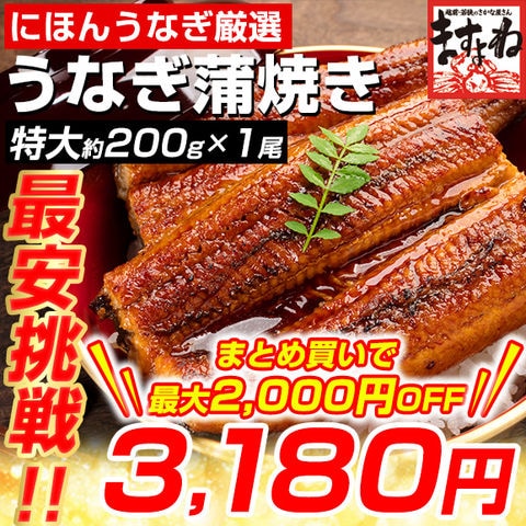 うなぎ蒲焼き 200g前後にほんうなぎ [台湾産] 