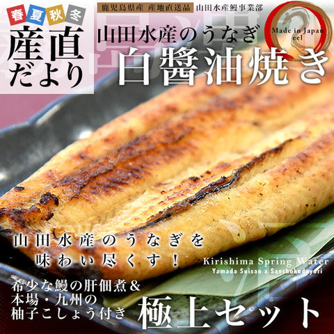 鹿児島県志布志産 山田のうなぎ白醬油焼き