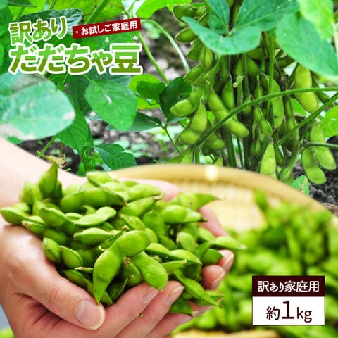 ご家庭用だだちゃ豆（枝豆）約1kg