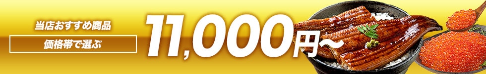 11000