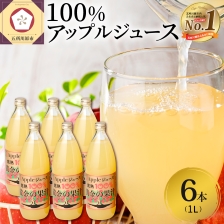 青森県産 完熟 100% りんごジュース 1L×6本