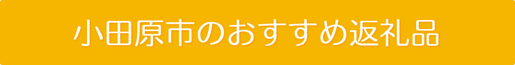 神奈川県小田原市のおすすめ返礼品