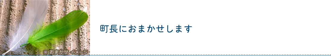 寄附金の使途