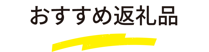 おすすめ返礼品