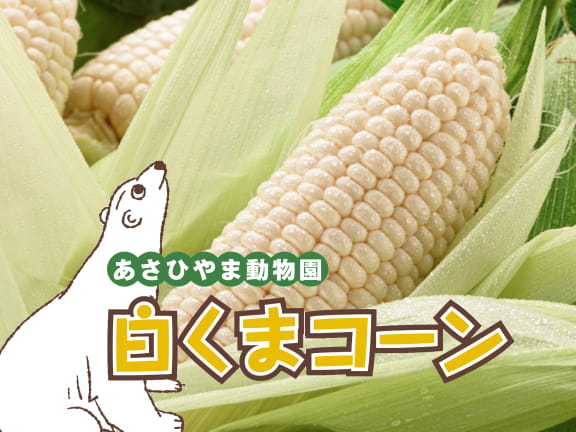 【あさひやま動物園公認】農薬削減 白くまコーン 北海道　益パパファーム
