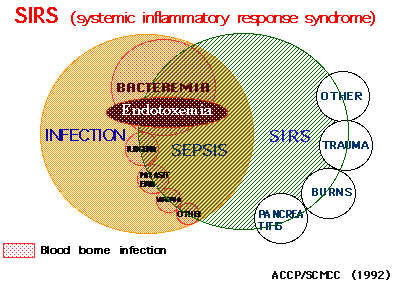 SIRS and Endotoxemia