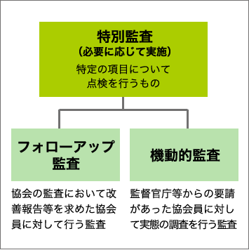 図：監査の種類 特別監査