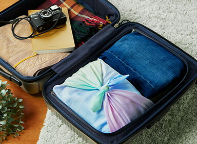 AS A LUGGAGE ORGANIZER