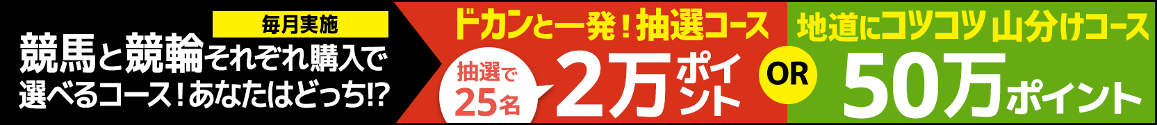 各500円以上購入＆条件達成で選べるコース！「ドカンと一発抽選コース！2万ポイント25名様」「地道にコツコツ山分けコース！50万ポイント山分け」