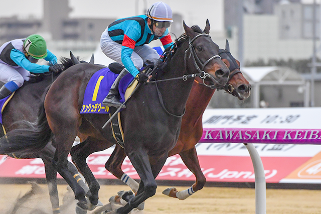 昨年の優勝馬アンジュデジール