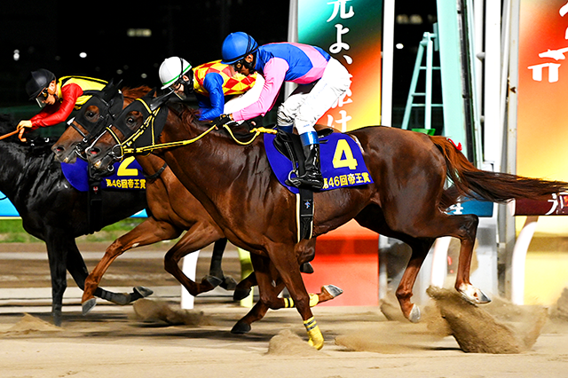 昨年の優勝馬メイショウハリオ