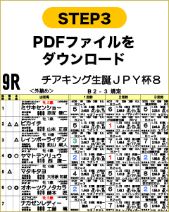 STEP3　PDFファイルをダウンロード