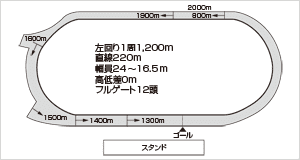 浦和競馬場：レースコース