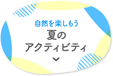 自然を楽しもう 夏のアクティビティ