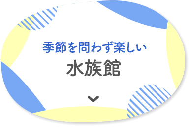 季節を問わず楽しい水族館