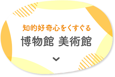 知的好奇心をくすぐる博物館 美術館