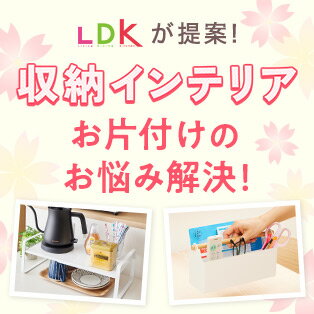 LDKコラボ 収納インテリア お片付けのお悩み解決！