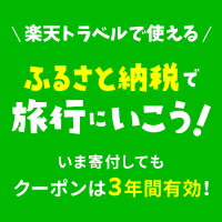 【楽天ふるさと納税】楽天トラベルクーポン返礼品