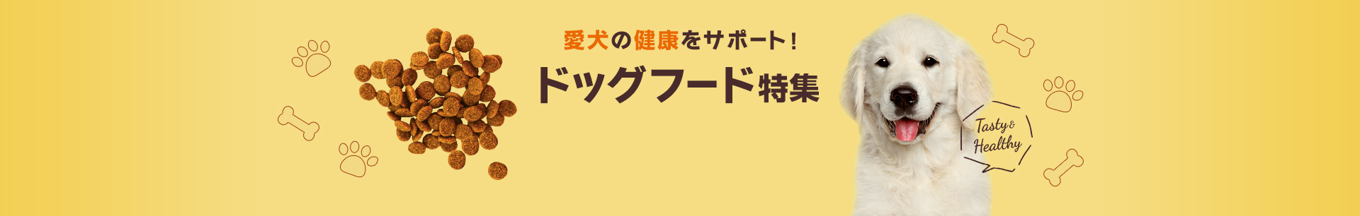 ドッグフード特集｜愛犬の健康をサポート！