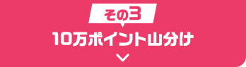 その3 10万ポイント山分け