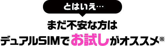 とはいえ… まだ不安な方はデュアルSIMでお試しがオススメ※