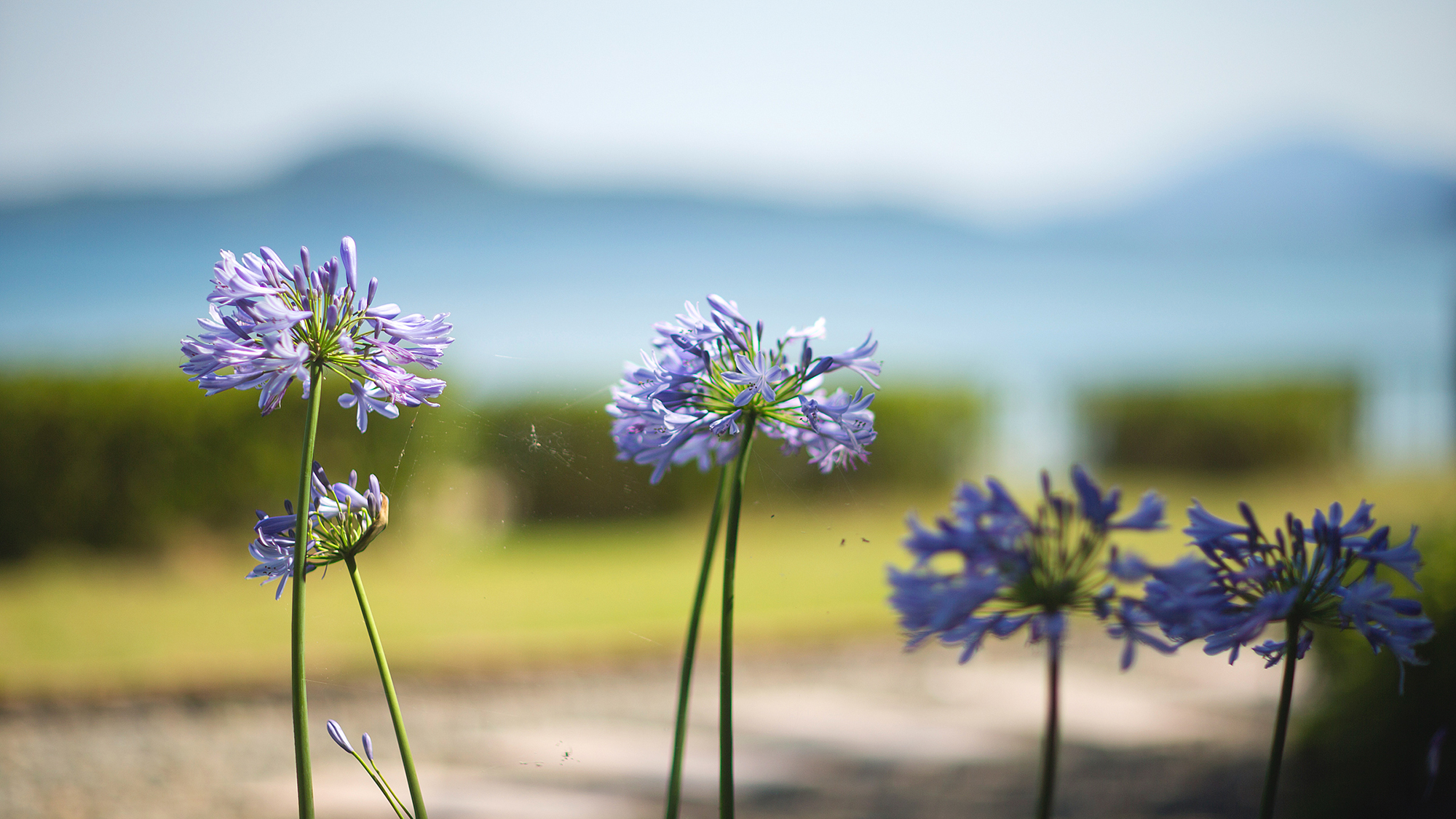 季節ごとに咲く花々。豊かな自然が心を癒してくれるはずです