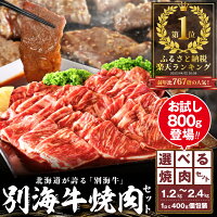 【ふるさと納税】【 楽天限定 】【総合1位獲得】北海道産 牛肉 【小分け ...