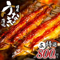 ふるさと納税 特上うなぎ蒲焼 5尾 うなぎ 鰻 蒲焼 国産 ウナギ うなぎ...