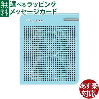 知育玩具 マグタブ 大 マグネット おえかき プレゼント 入学祝い 3歳 おうち時間 子供