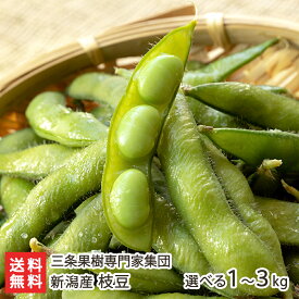 新潟産 朝採り枝豆 「1kg」or「2kg」or「3kg」三条果樹集団【鮮度抜群/陽恵/えだまめ/エダマメ/えだ豆/農家直送】【送料無料】お中元