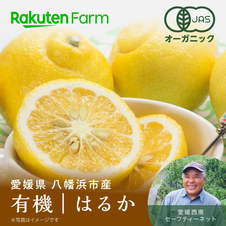 【予約】愛媛県産 オーガニック〔有機〕 はるか 3kg（大小サイズ混合）★3月上旬～4月上旬 出荷予定★有機JAS認証◆見た目は酸っぱそうでも食べると爽やかな甘さ！◆愛媛県八幡浜市 愛媛西南セーフティーネット◆楽天ファーム こだわり農家直送◆送料無料◆みかん特集