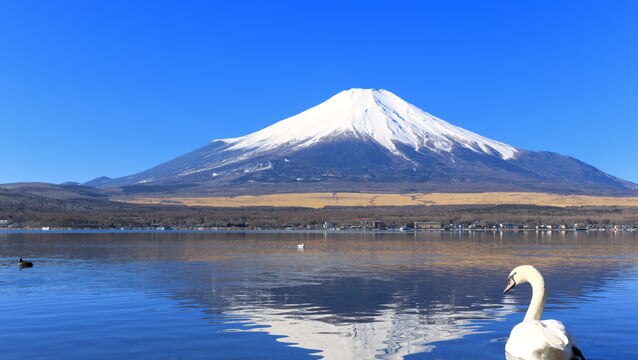 自然が豊かな山梨で冬休みに行きたい！冬の観光スポット6選