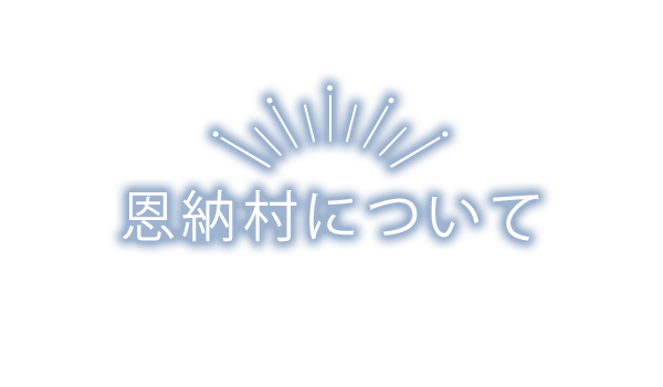 恩納村について