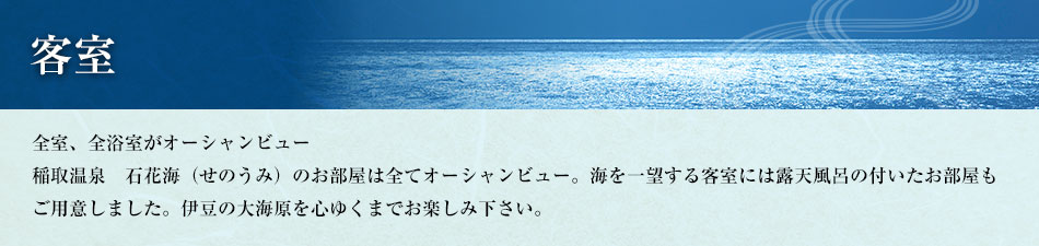 伊豆稲取温泉　石花海の客室