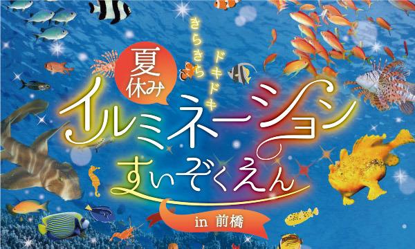 夏休みイルミネーションすいぞくえん in 前橋