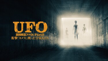 UFO 真相検証ファイル Part2 衝撃!カメラに映った宇宙人たち