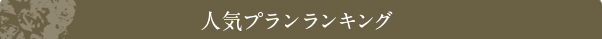 人気プランランキング