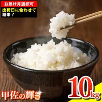 ふるさと納税 甲佐町 ★令和6年産新米★熊本県産甲佐米10kg【配送指定可】【ZC】