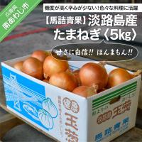 ふるさと納税 南あわじ市 【淡路島の青果屋】淡路島産たまねぎ　5kg 甘さに自信!!ほんまもん!!