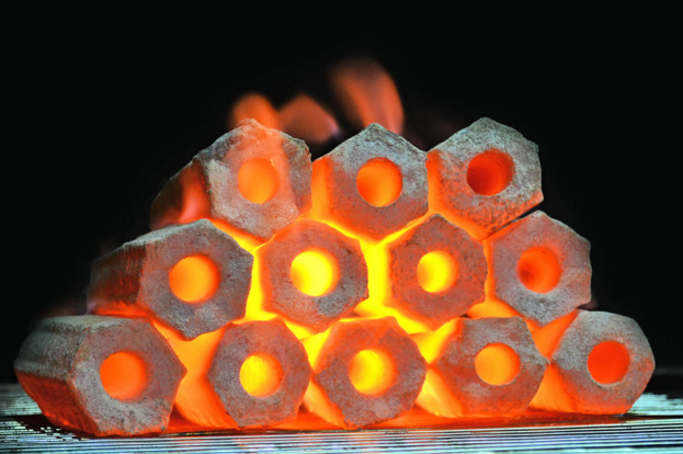 Briquettes business in Kenya