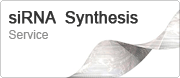 siRNA  Synthesis Service