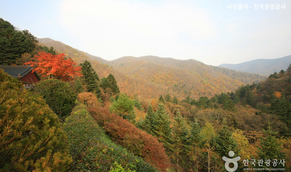 오대산 국립공원