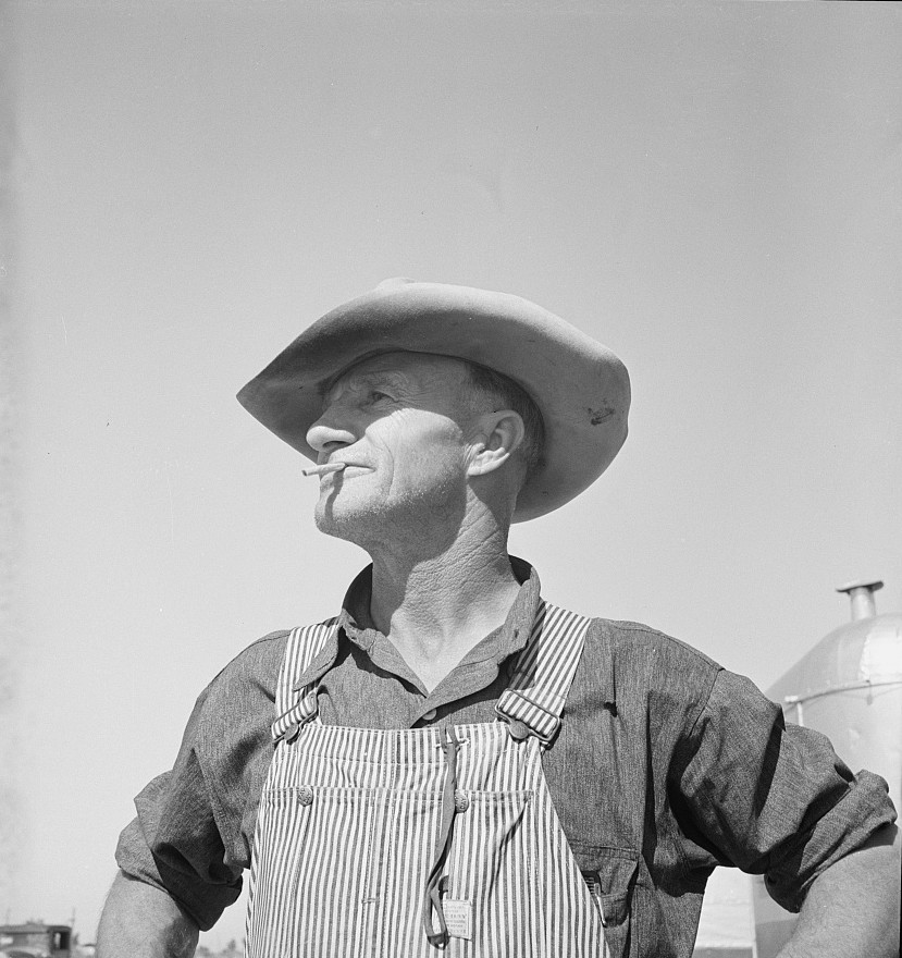 Nebraska famer to pick peas