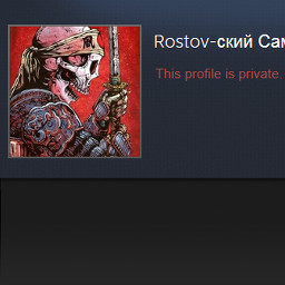 make your steam profile private