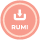 rumi icon