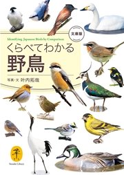 ヤマケイ文庫 くらべてわかる野鳥 文庫版