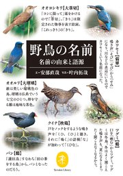 ヤマケイ文庫 野鳥の名前 名前の由来と語源