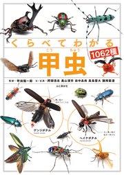 くらべてわかる甲虫1062種